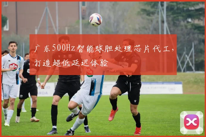 广东500Hz智能球胆处理芯片代工，打造超低延迟体验