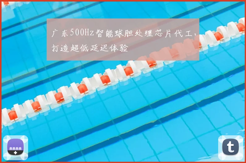 广东500Hz智能球胆处理芯片代工,打造超低延迟体验
